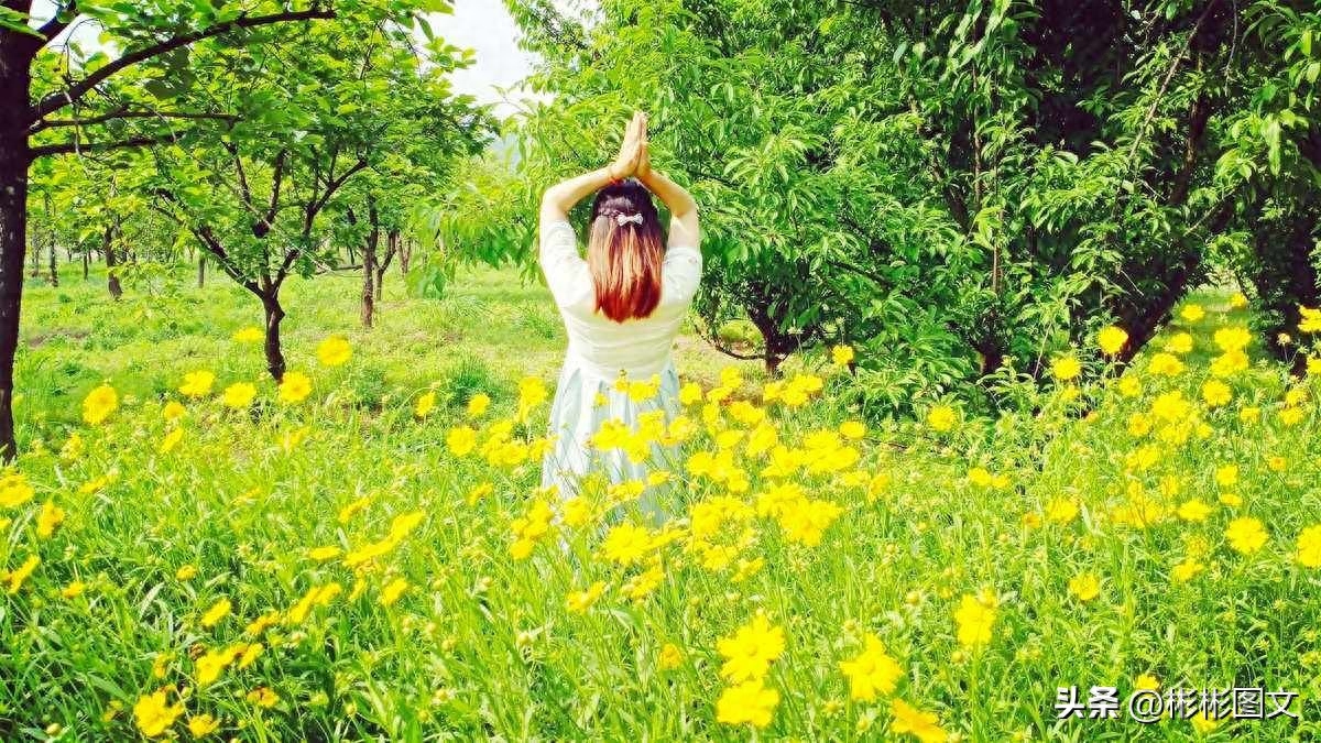 一朵花，开在枝头，是春的寂寞。一个人，跌落人间，是孤独无趣(图1)