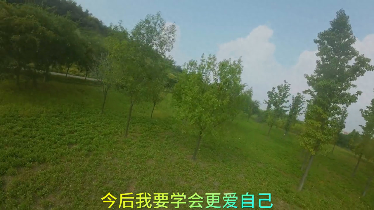 花盛开不盛开都是花，有你没你，我都是我，看春风十里(图2)