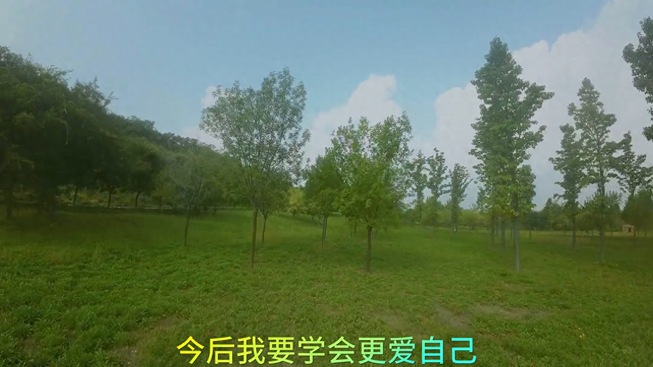 花盛开不盛开都是花，有你没你，我都是我，看春风十里(图3)