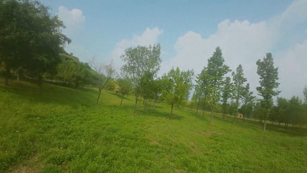 花盛开不盛开都是花，有你没你，我都是我，看春风十里(图4)