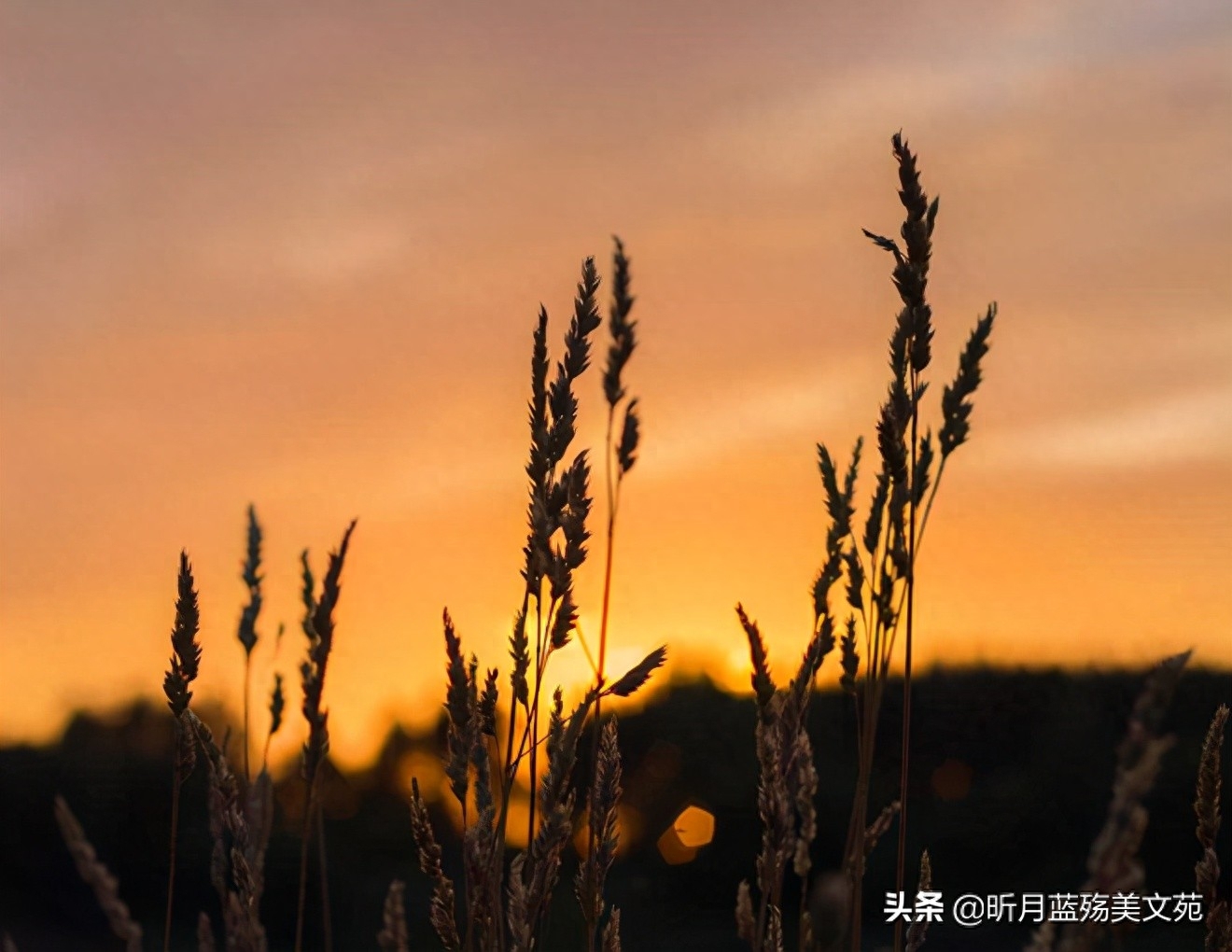 遇见过你，不曾后悔(图5)