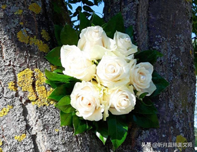 遇见过你，不曾后悔(图6)