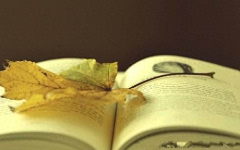 「作文素材」关于读书的名人名言84句（建议收藏）(图4)