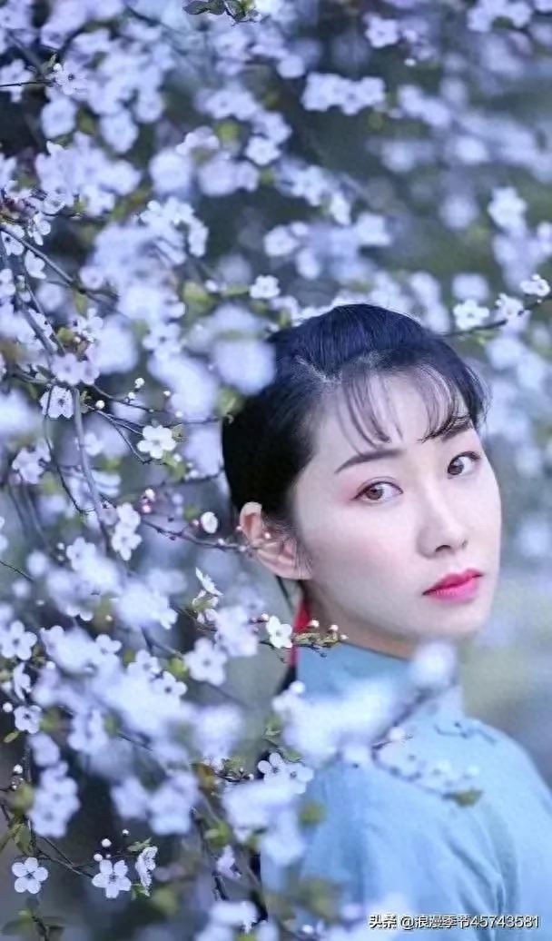 深深淺淺的紅塵中，總有一朵花，盛開著春天！【散文】(图1)