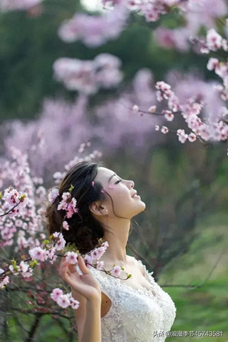 深深淺淺的紅塵中，總有一朵花，盛開著春天！【散文】(图2)
