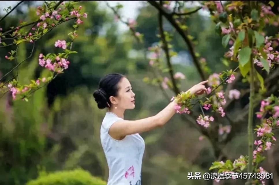 深深淺淺的紅塵中，總有一朵花，盛開著春天！【散文】(图5)