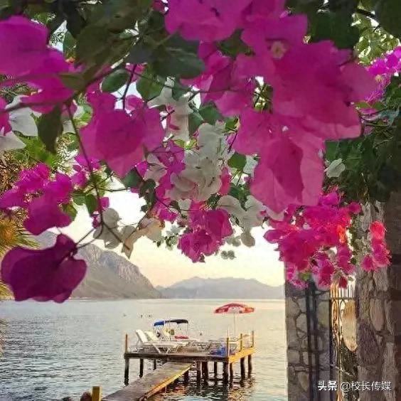 人生四季：春、夏、秋、冬(图4)