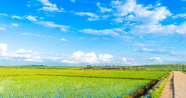 数学思想方法篇（四）【转化思想】(图3)