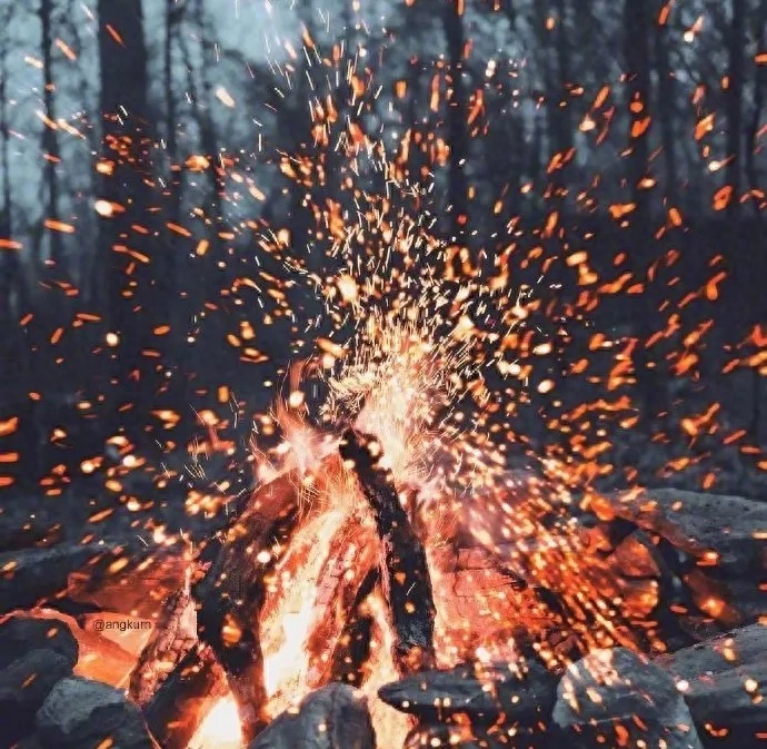 擦干泪水，活好自己(图5)