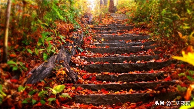 夜读人生：风雨波折是成长，眼泪擦干后依然坚强(图1)