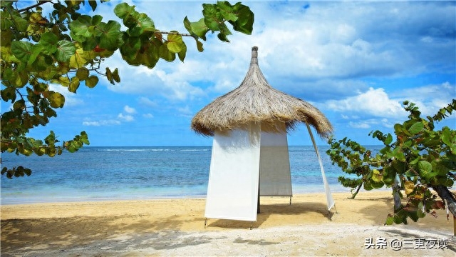 夜读人生：风雨波折是成长，眼泪擦干后依然坚强(图4)