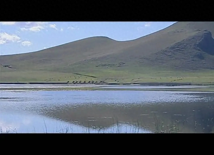 电视剧《汉武大帝》里的经典台词，你是否还知道呢？(图40)