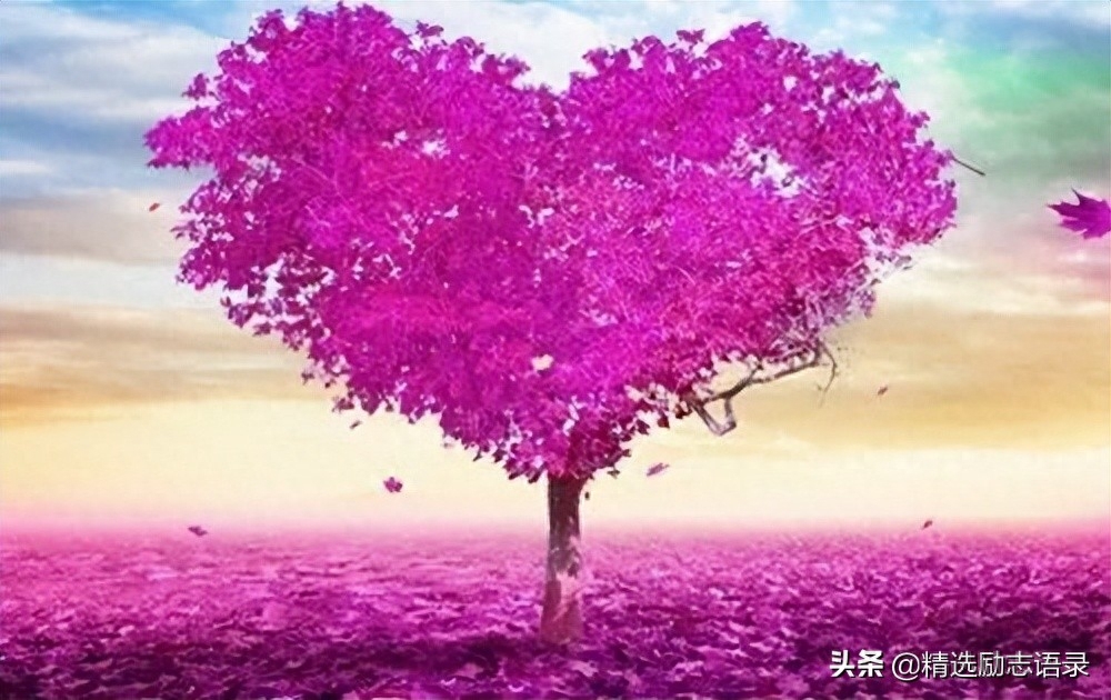 被人瞧不起的时候，用不着翻脸(图2)