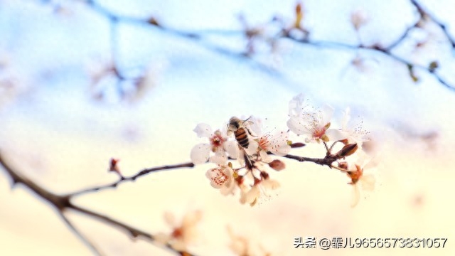 人民日报金句摘录丨静心修已淡然前行(图3)