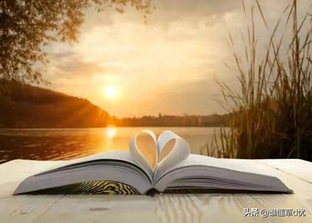 爱了就是一辈子，倾尽温柔为一人，心有所属，此情至死不渝(图4)