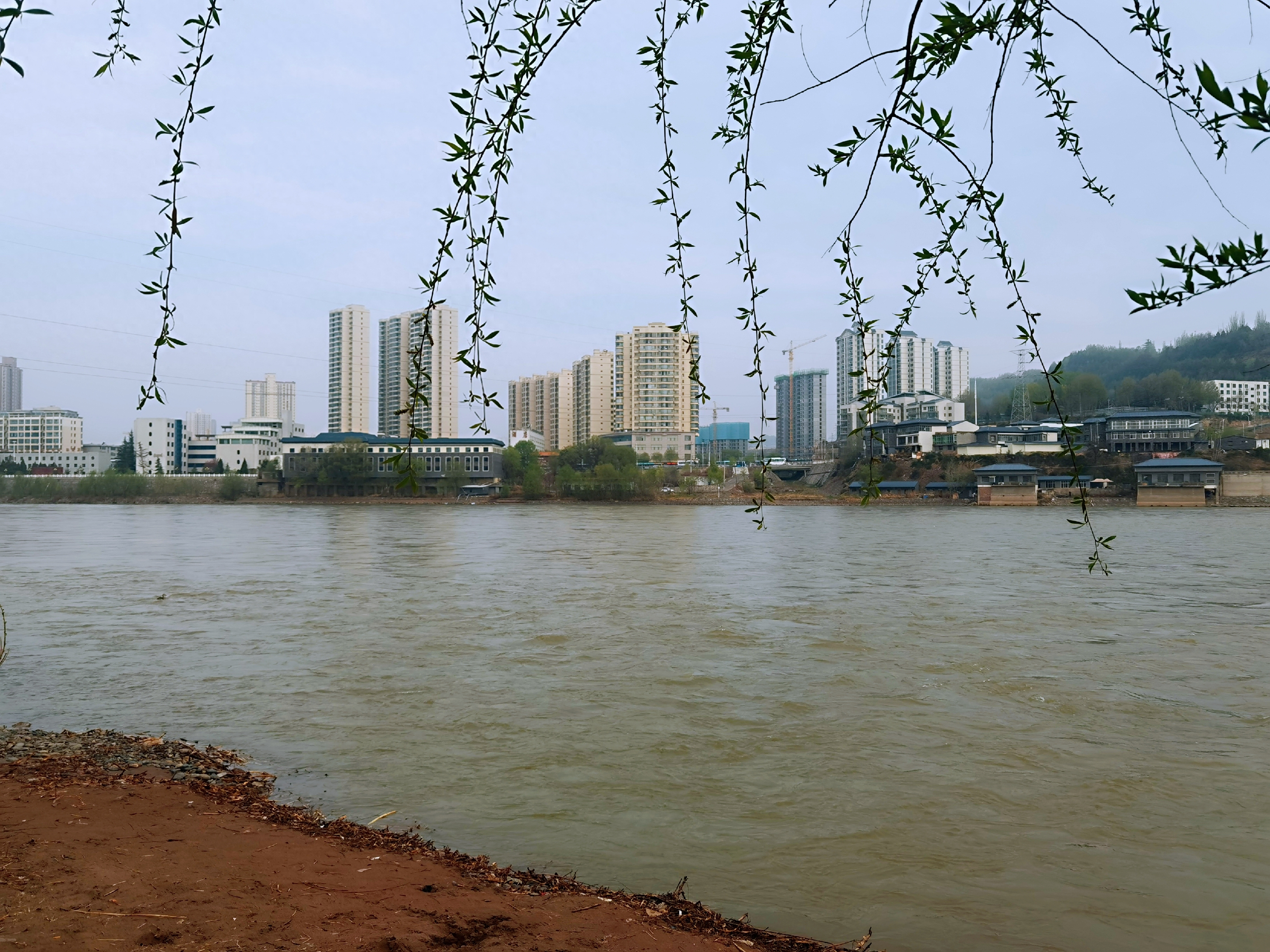 植树造林千山绿，万里松涛翻巨浪(图2)