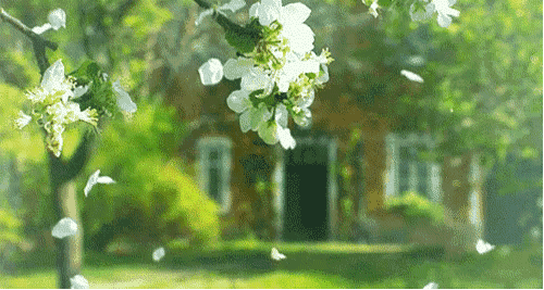 植树造林千山绿，万里松涛翻巨浪(图3)