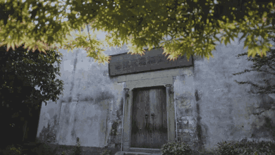 品茶，读书，听雨，看落花(图9)