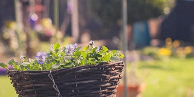 低调做人的语录：做最好的自己，不比别人强也不比别人劣(图2)