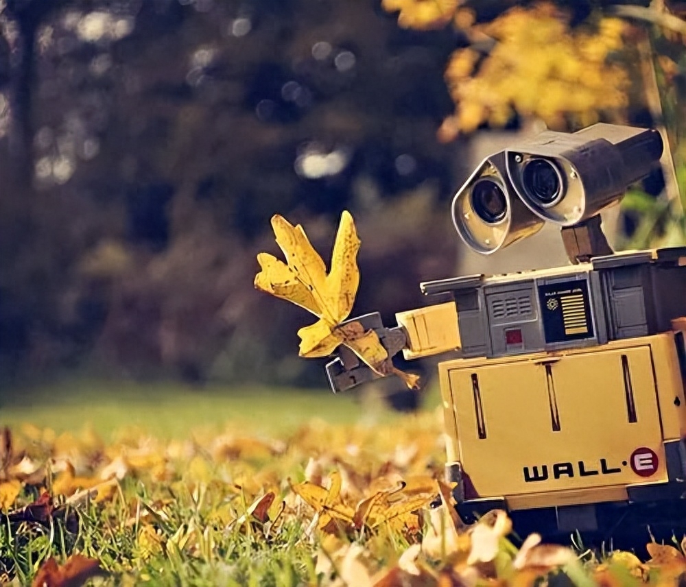 低调做人的语录：做最好的自己，不比别人强也不比别人劣(图4)