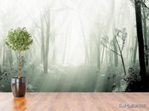 唯美语录精选：每个人都有一颗守护的星，传说那是颗爱人的心。…(图2)