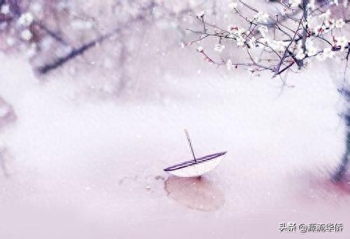 唯美语录精选：每个人都有一颗守护的星，传说那是颗爱人的心。…(图4)