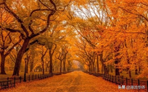 唯美语录精选：每个人都有一颗守护的星，传说那是颗爱人的心。…(图10)