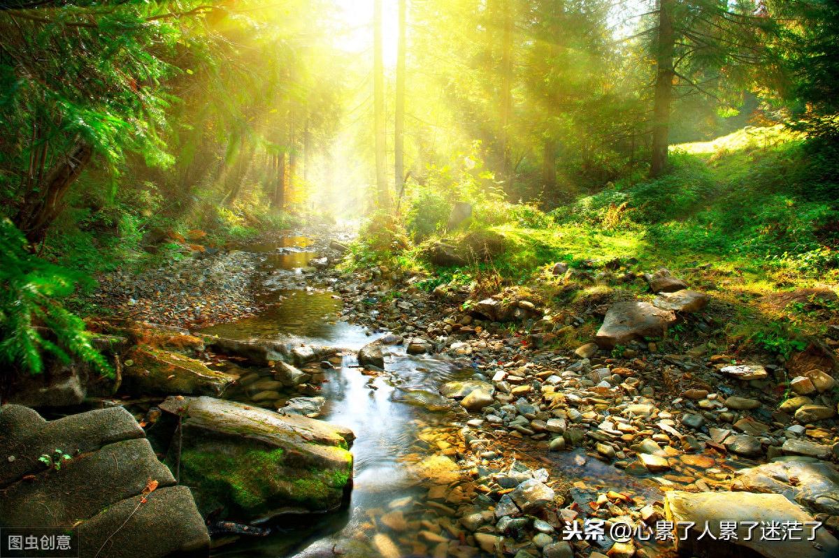 感悟人生经典说说，这样的缘，美好而永恒(图1)