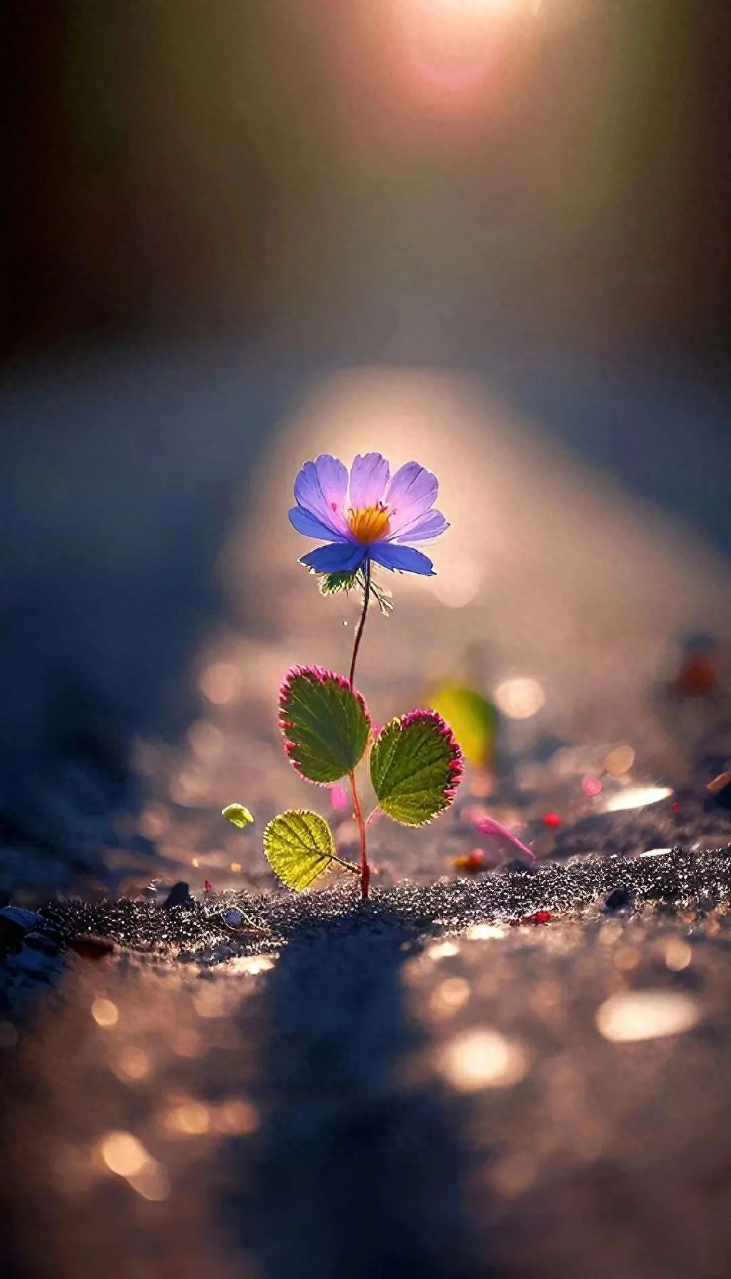 26个适合开学季发的朋友圈文案加配图，温柔治愈！(图21)