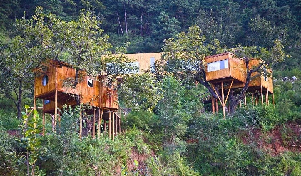 愿有一木屋 · 与你共度余生(图11)