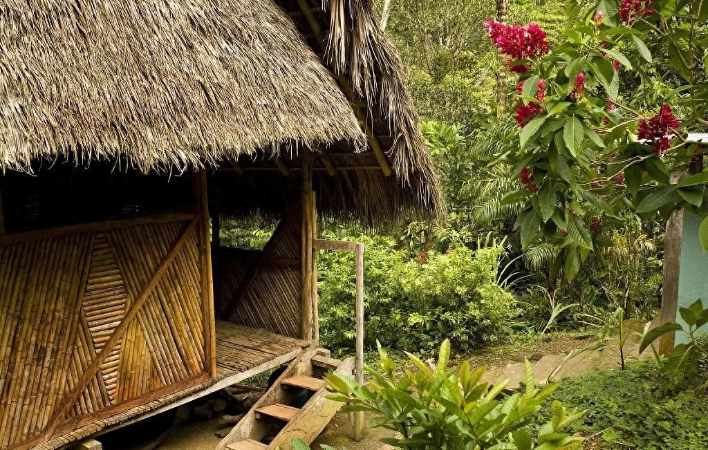 愿有一木屋 · 与你共度余生(图14)