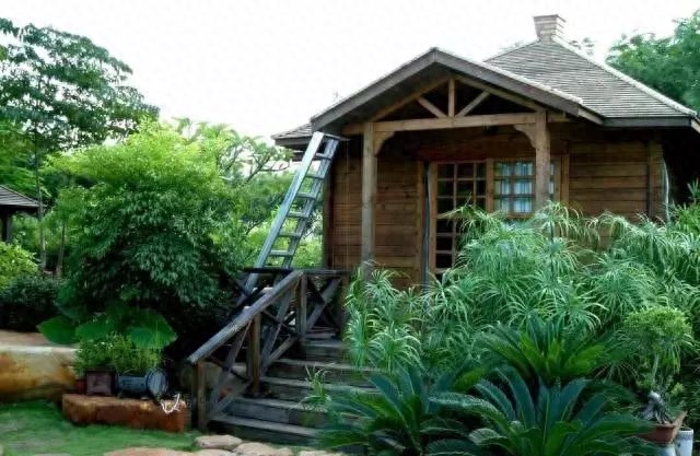 愿有一木屋 · 与你共度余生(图23)