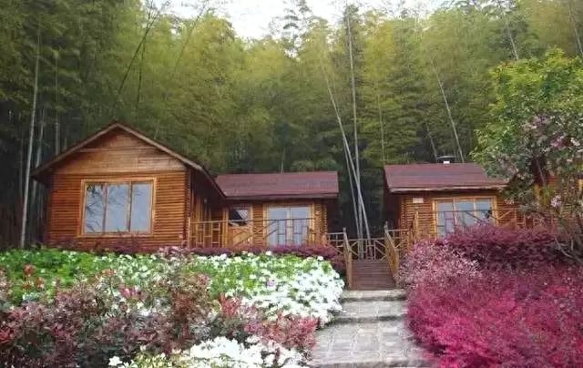 愿有一木屋 · 与你共度余生(图29)