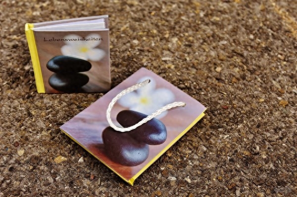 激励人生的经典句子，句句正能量，阳光励志(图4)