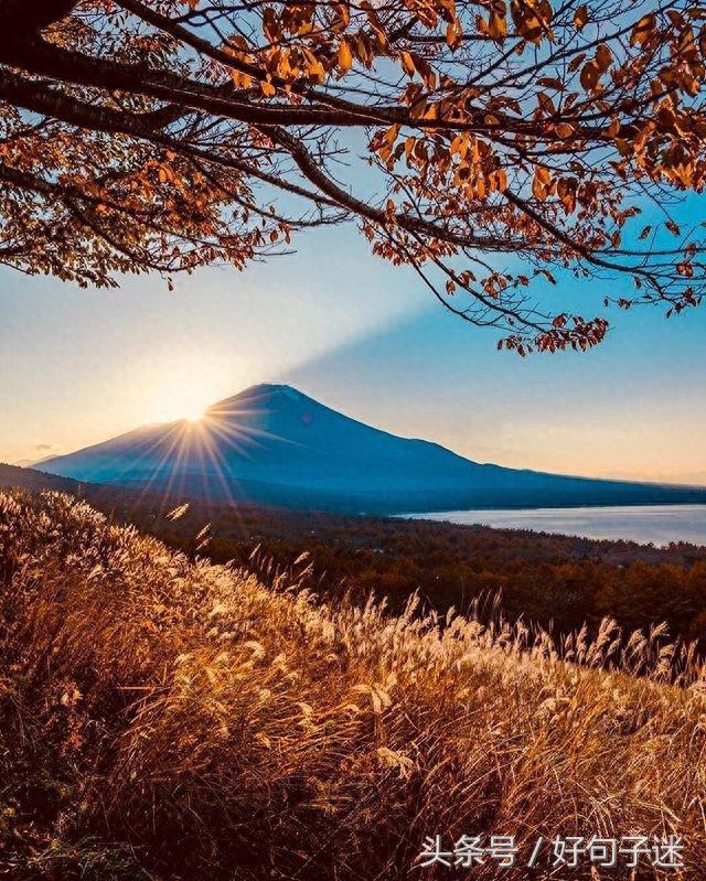 关于平淡人生的经典句子，富有哲理，引人深思！(图3)