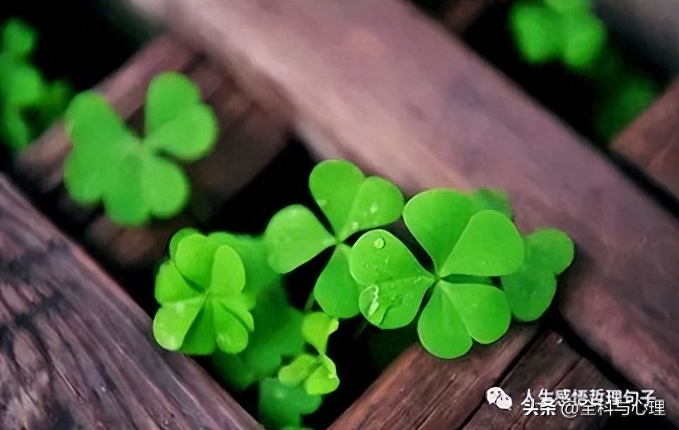 人生感悟的句子简短的 生活好累好压抑的句子(图2)