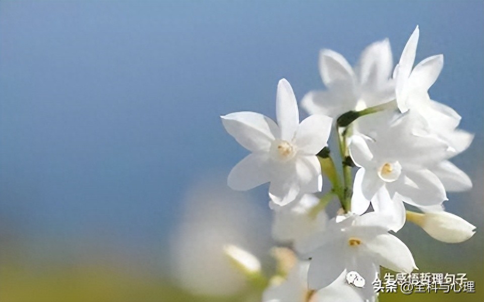 人生感悟的句子简短的 生活好累好压抑的句子(图3)