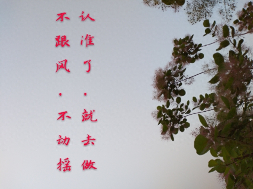 百度创始人李彦宏：做自己喜欢做的事，做自己擅长做的事。认准…(图3)