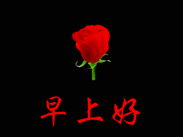 早安心语丨 阳光洒窗台 鸟儿枝头唱 愿你新的一天充满希望和美好！(图4)