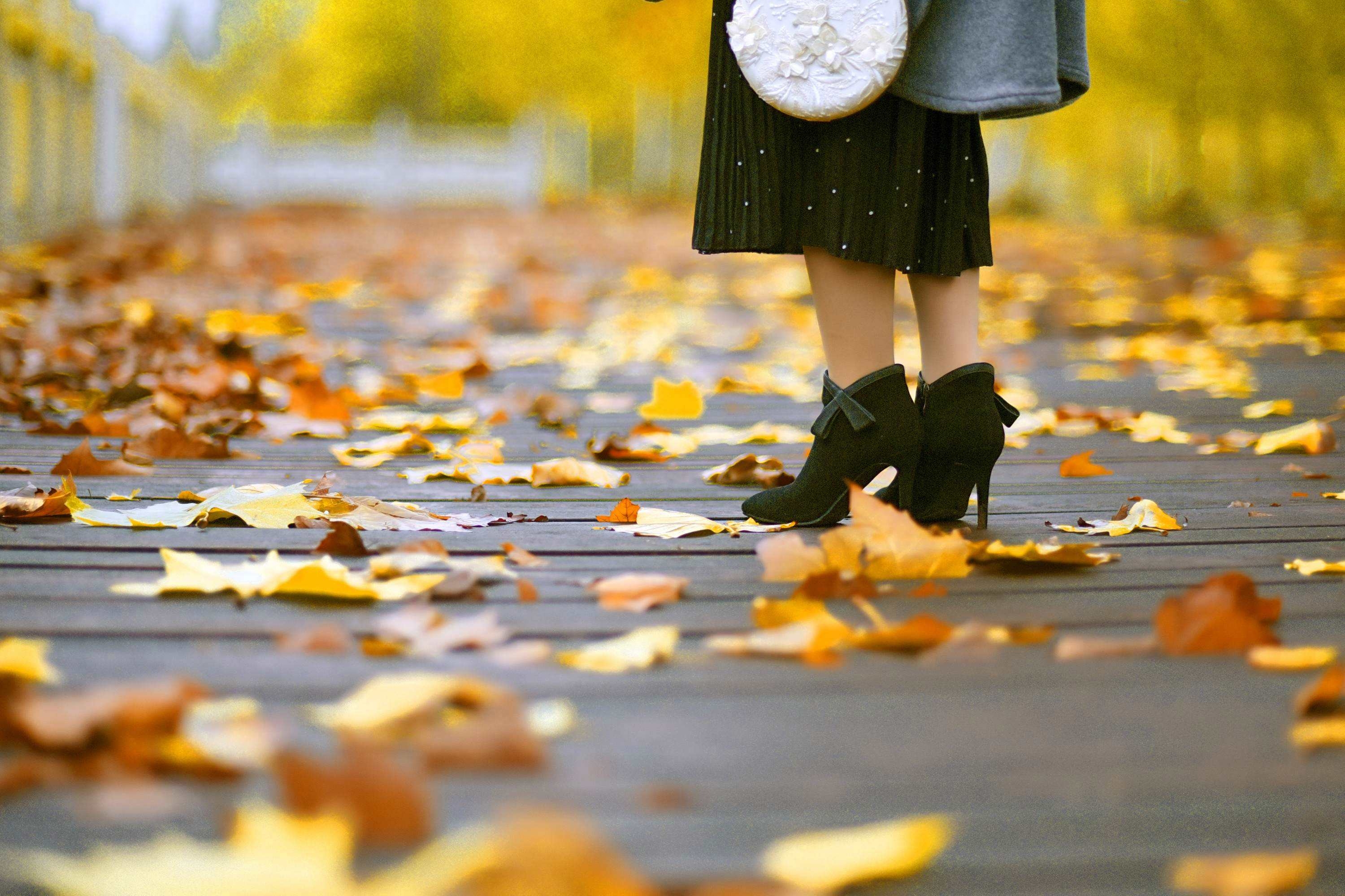 古诗词：凉风起天末，君子意如何？(图1)