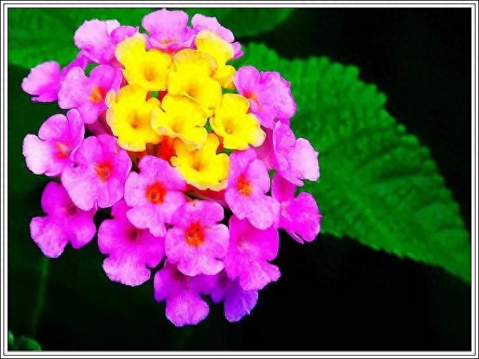 励志正能量语录9(图1)