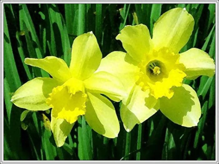 励志正能量语录9(图3)