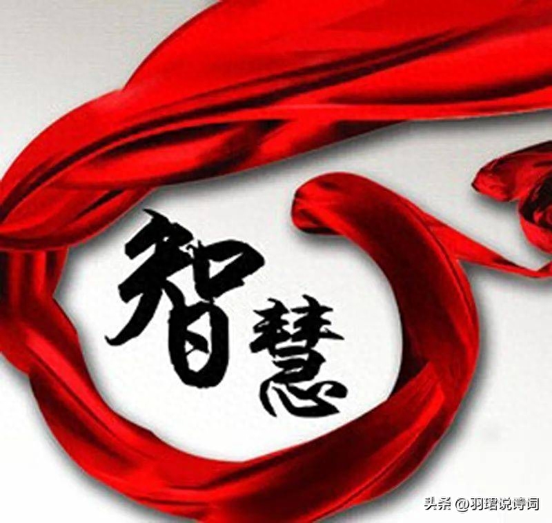 35句智慧哲理名言 百岁无智小儿 小儿有智百岁(图3)