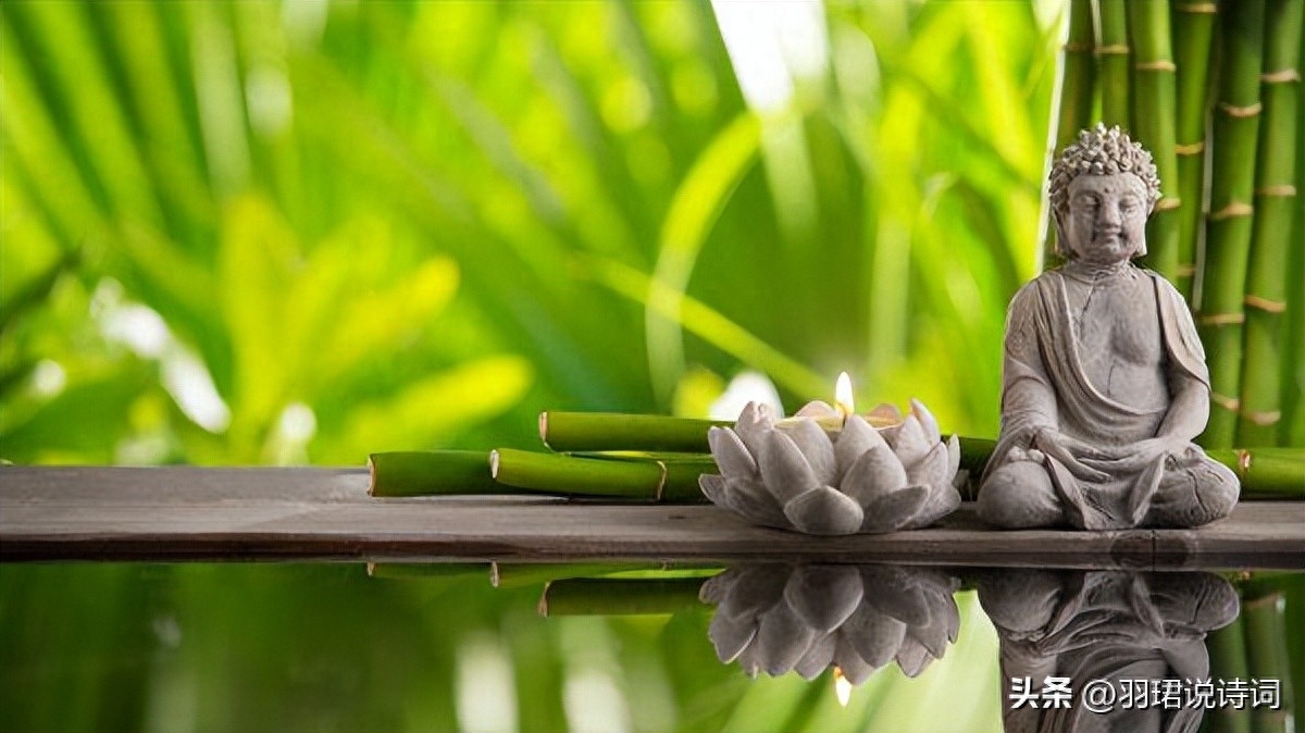 35句智慧哲理名言 百岁无智小儿 小儿有智百岁(图4)