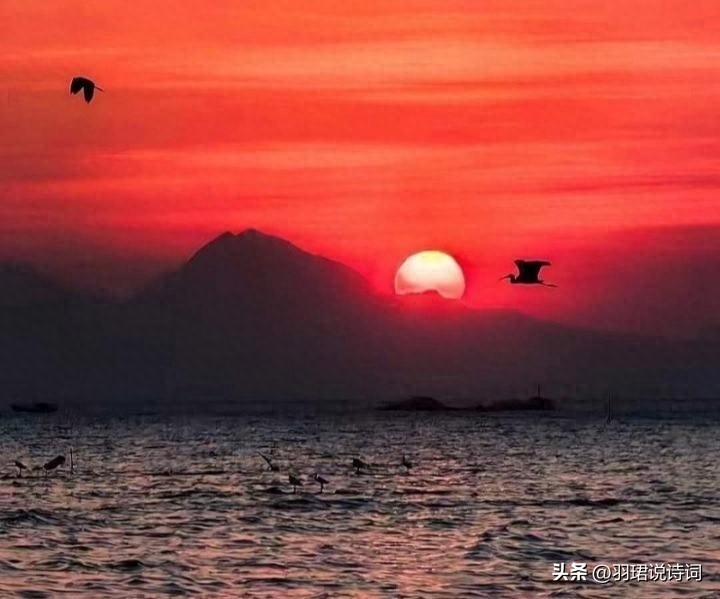 35句智慧哲理名言 百岁无智小儿 小儿有智百岁(图7)