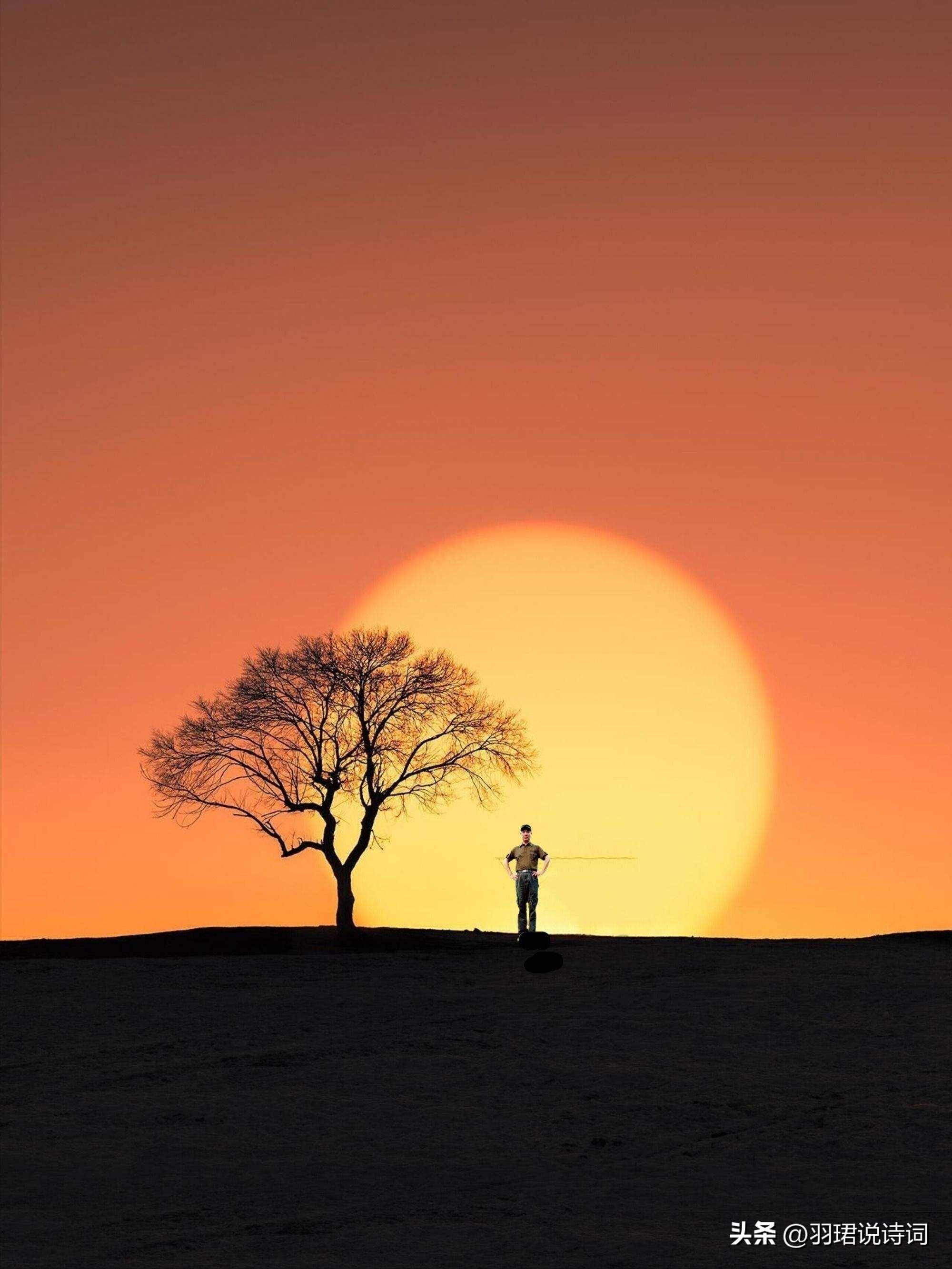 35句智慧哲理名言 百岁无智小儿 小儿有智百岁(图9)