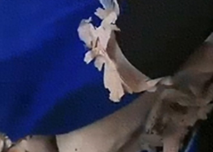 孩子穿上棉校服冻得发抖，衣服里面填充物是塑料，校方回应惹众怒(图4)