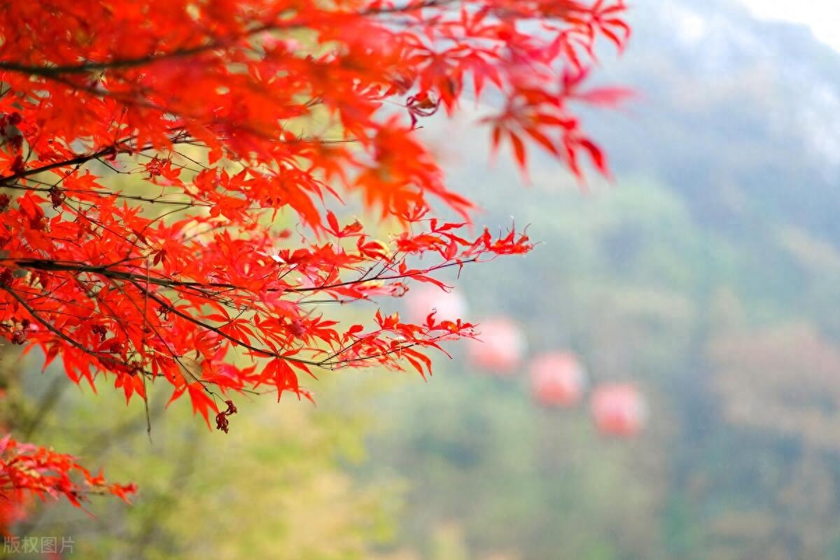 天气转凉的文案(图1)