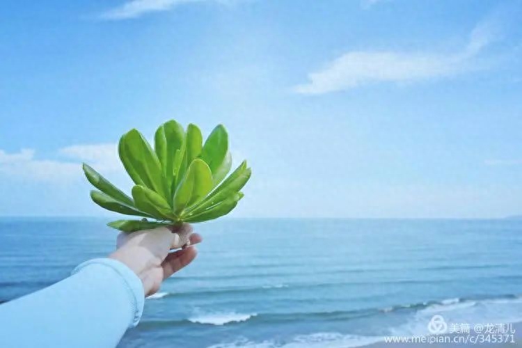 给生活比个耶的说说，下一秒会改变一切(图5)