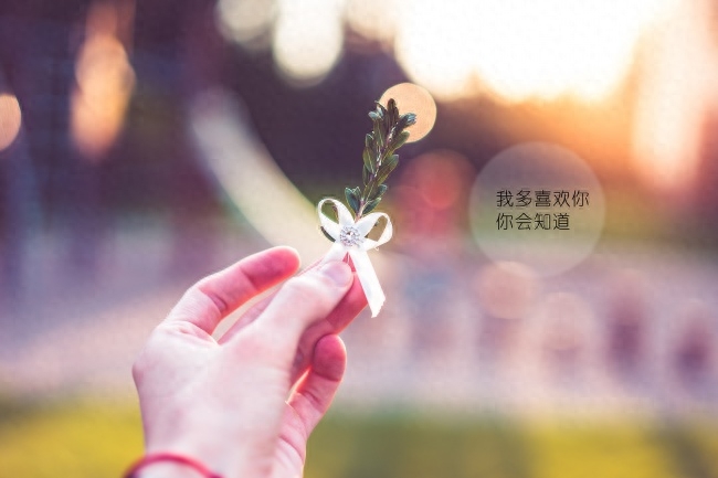 浅浅喜，淡淡爱！且行且珍惜(图1)